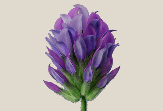 Featured image for the article Should You Use Retinol (or Retinol Alternatives)?